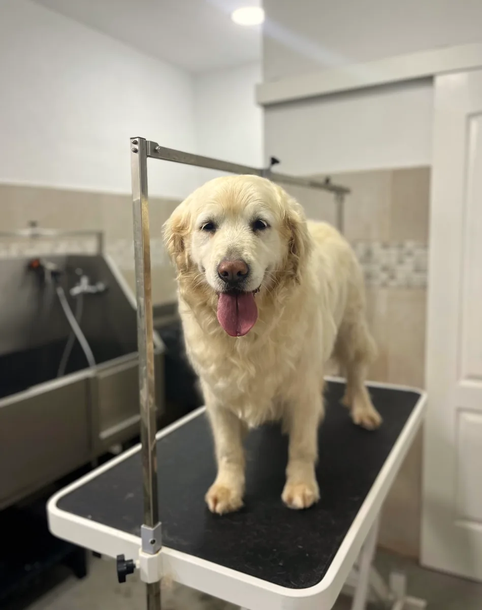 Después de la peluquería