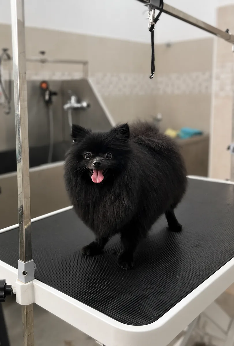 Después de la peluquería